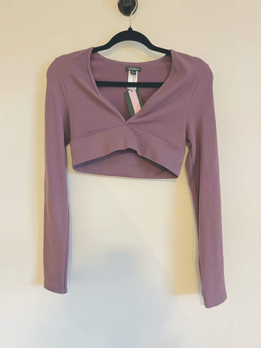 Wild Fable Purple Ribbed Long-Sleeve Cropped V-Neck Top